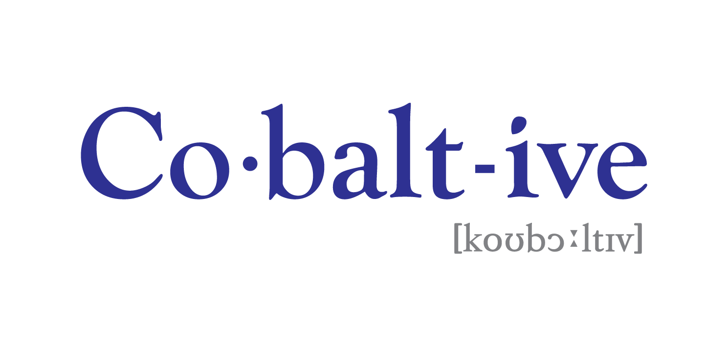 주식회사 코발티브